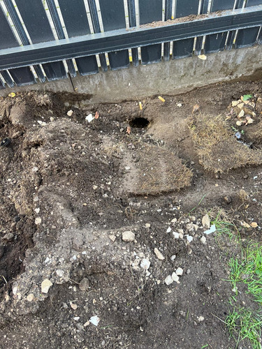 6653a803 78f4 4074 a849 089185dea4cc.jpg