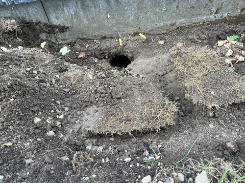 ea64e632 e071 4bd1 9c41 5c606454e170.jpg