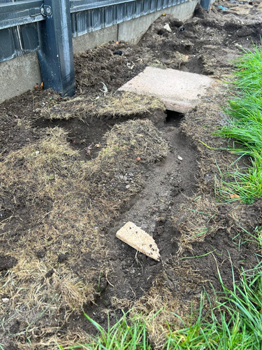 1e505152 f12b 44bb a871 d3c4c8052b28.jpg