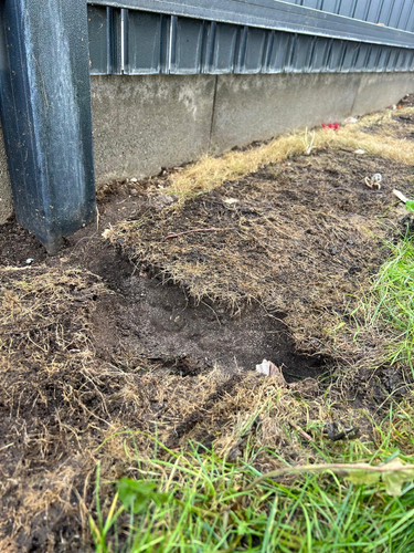 b608f357 b298 4e78 b596 757f8ccf51cd.jpg