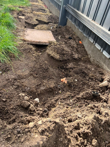 e909e8e8 e52a 463b b762 bca573b280b5.jpg