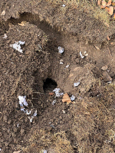 75c31cb3 b205 4387 a53e e6457f221084.jpg