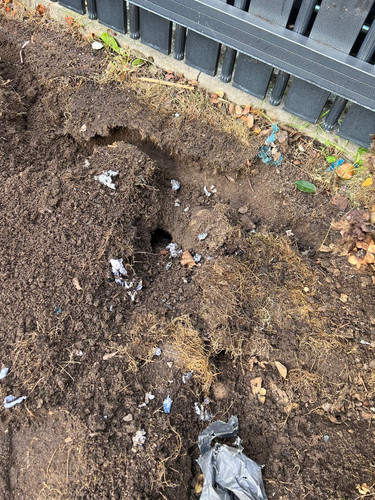 41f014c2 9a7e 4f54 8734 04497a24518a.jpg