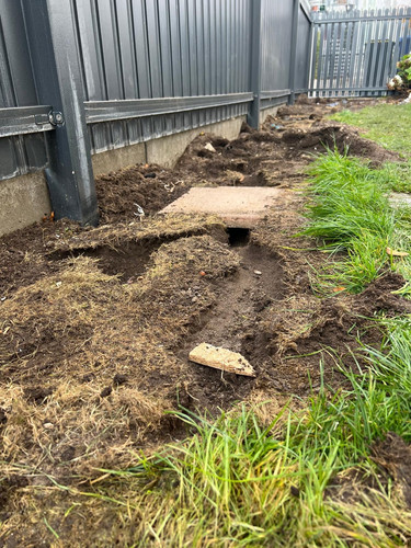 11230b1d f14f 4f99 bb4a af9bcef0fe37.jpg