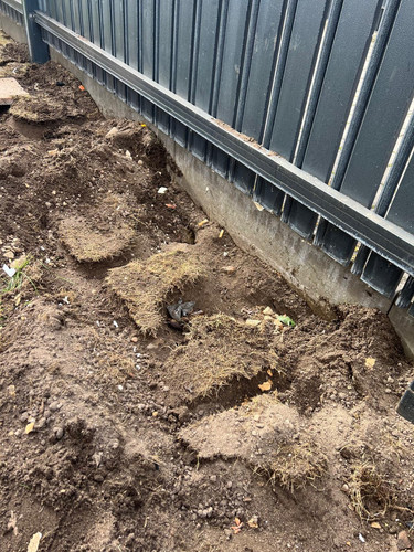 e54214a5 535a 4669 9ccd fa835799d0f4.jpg