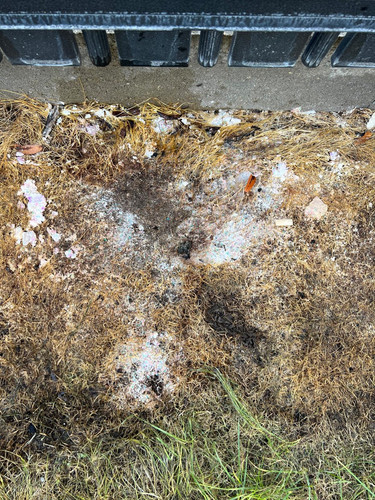 81174d7a 797c 4c1e 98d7 7ab19b5f7cbc.jpg