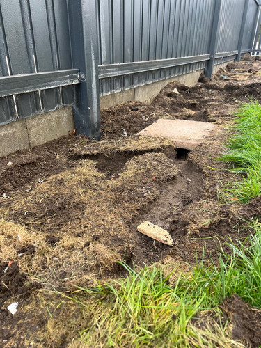 58074c14 2cc1 42e9 ae8e fc23a599214a.jpg