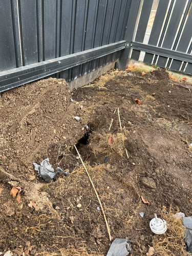 c9ba28a0 1b6d 4f34 919a 91a324632f02.jpg