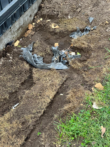 fdb449e5 3f95 41ff b248 aab6fc5dc667.jpg