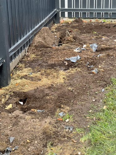 7d915d95 fe45 45cb 87e0 f56157e8f9de.jpg