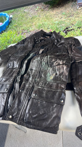 3657392e be95 4469 8154 7a56cb9a1f0b.jpg