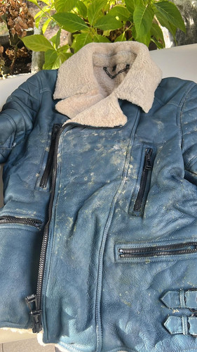 559de099 d8d2 49b6 99e7 e5a7a9b8b9f5.jpg