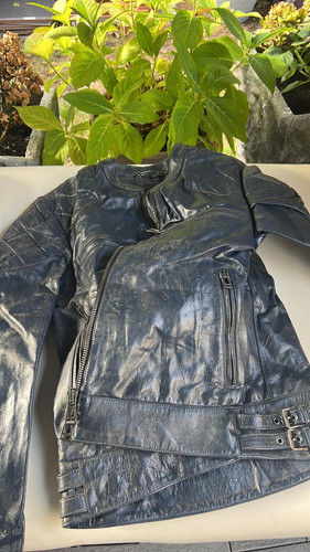 4eb7396d df94 4a53 a81f f5cb40d7758d.jpg