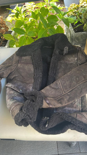 6de23f78 b8f8 4ce5 b6c5 3ee2d4507bdb.jpg