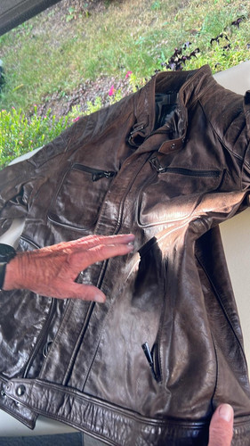 754ef9ac 34fc 4717 a776 73a5c9fc4356.jpg