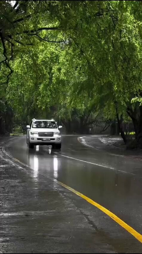 obCN HjUm09SarW7.jpg