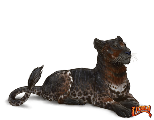 lioden wardrobe (4).png