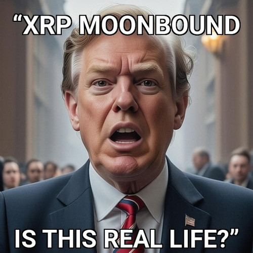 c6209e80 b92a 4eb4 98ef c7308c6c3dfe.jpg