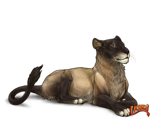 lioden wardrobe (3).png