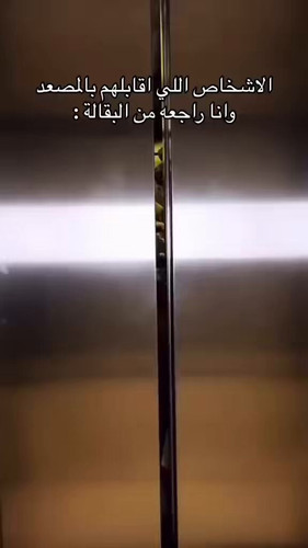 bORxzYgq pD78YPt.jpg