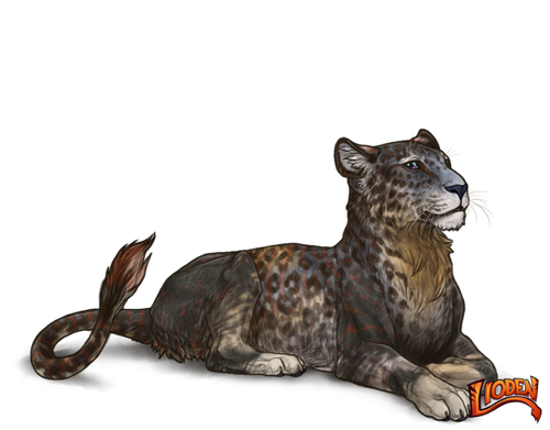 lioden wardrobe (5).png