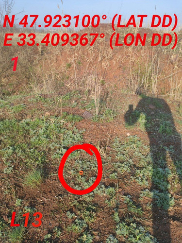5467600179805939717.jpg