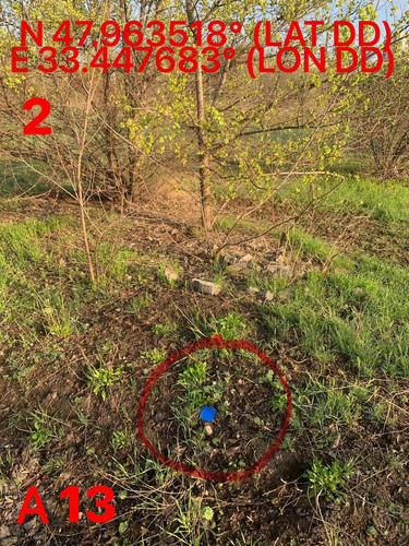 5465625667375853981.jpg