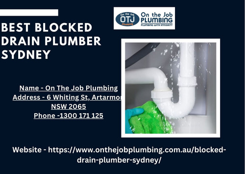 Best Blocked Drain Plumber Sydney.jpg
