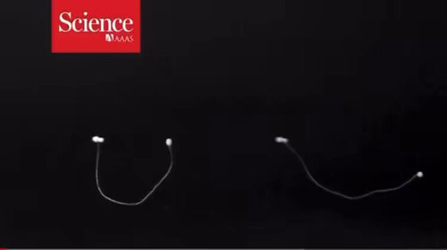 L50Keb1m5D 7ubGT.jpg