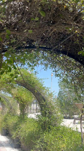 H20QZOKXuPwMcCF .jpg