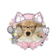 4C9D1C95 1390 43F9 8D99 1EF00831E77F.jpg