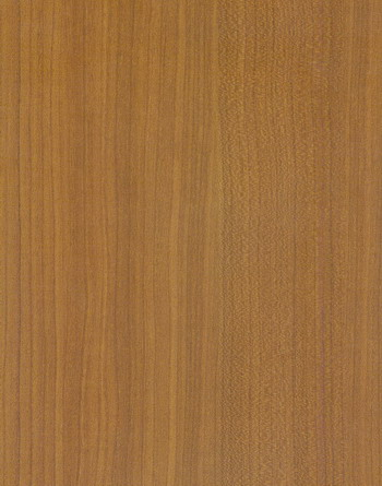 松耐特 9750T.jpg