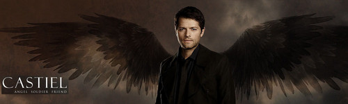 Cas banner.jpg