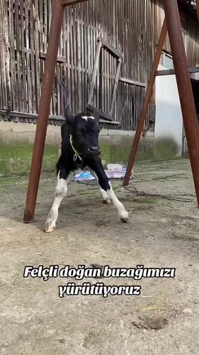 OAy8KoH 9X9dJTyP.jpg
