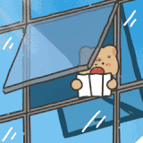 mmexport1744646786208.gif
