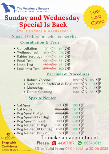 Diagnostics (1).png