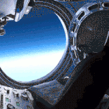 seg.gif