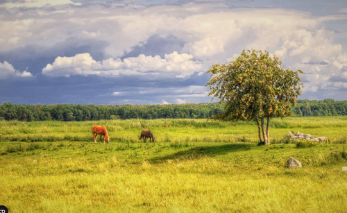 Opera Снимок 2025 04 12 005208 gurushots.com.png