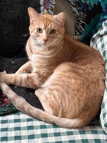 491416818 1101741865323426 6193645691394687651 n.jpg