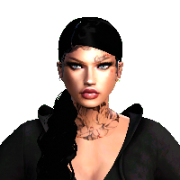 784ee857cb0e.png