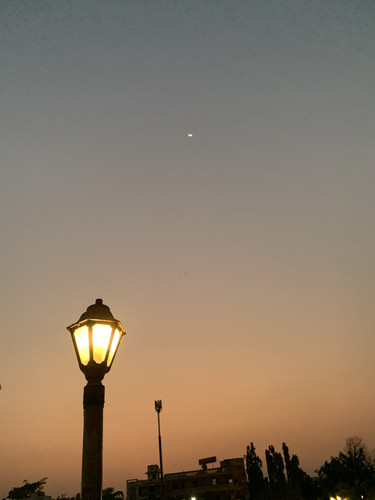 IMG 0016.jpg