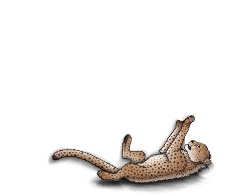 New Cheetah.png