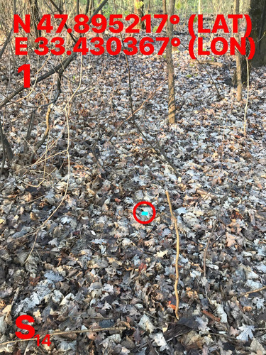 5469719922260177406.jpg