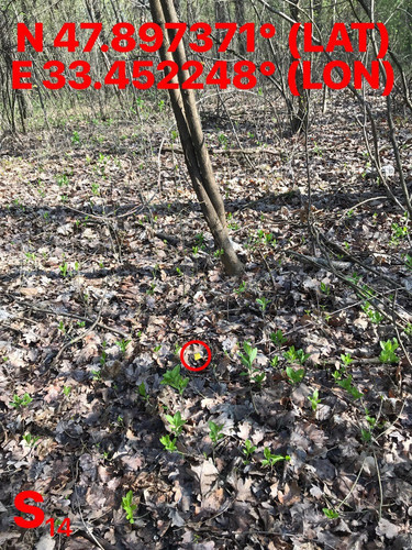5469719922260177796.jpg
