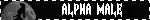 alpha male blinkie.webp