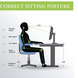 Office ergonomics. Correct sitting posture of a man near the computer
