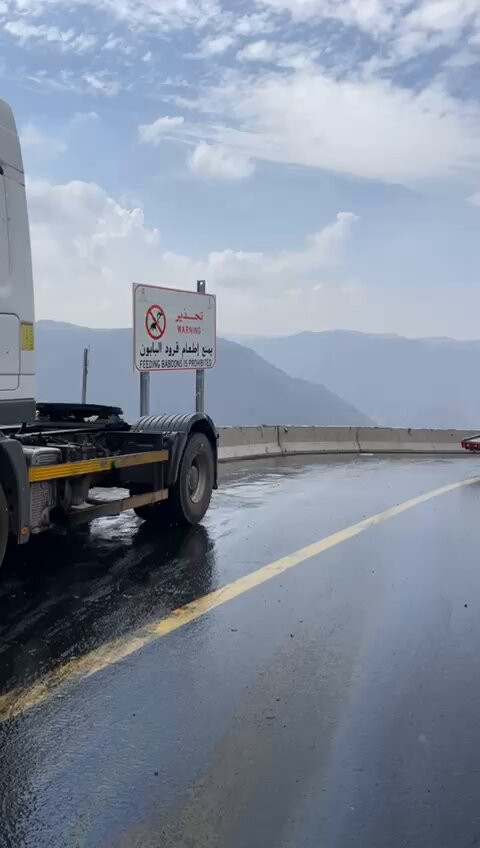 8aIB6HzOkBSYl v8.jpg