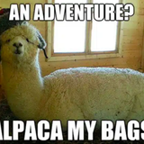 travel meme 69 480.png