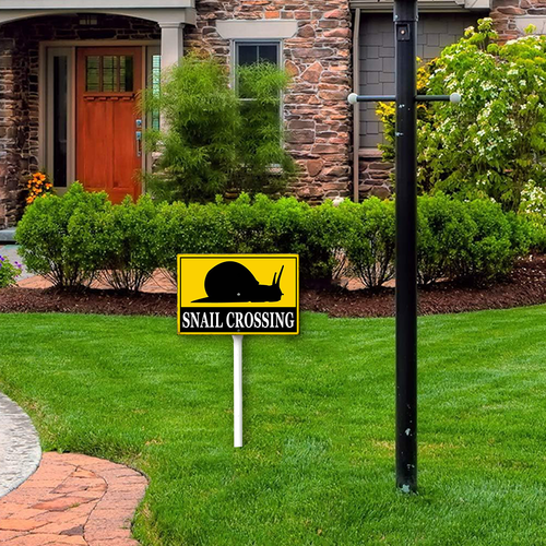 22 xcrose463xfe0414vw 10.png