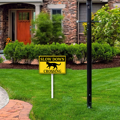 22 xcrose463xfe0414vw 3.png